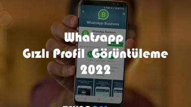 whatsapp gizli profil