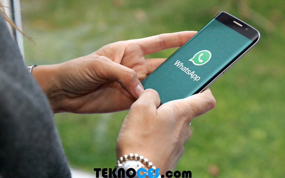 whatsapp gizli profil resmi görme